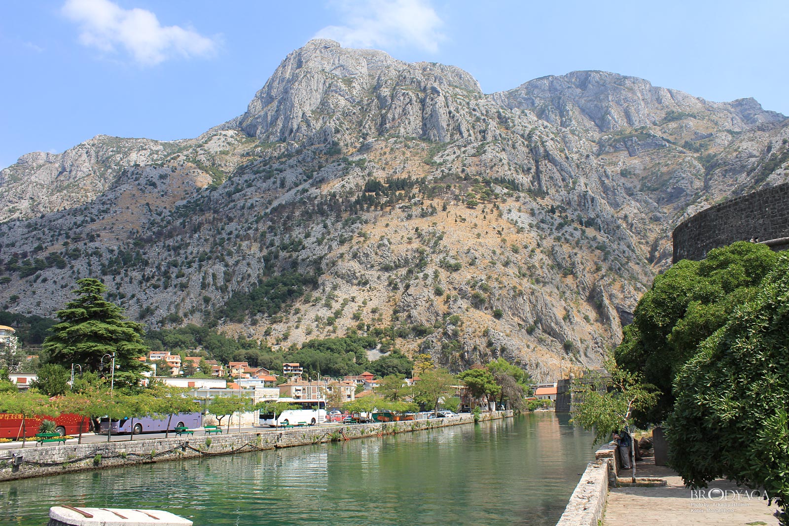 Kotor